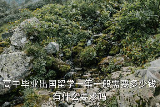 高中畢業(yè)出國留學(xué)一年一般需要多少錢有什么要求嗎