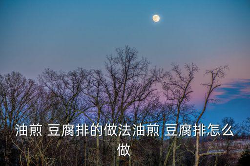 油煎 豆腐排的做法油煎 豆腐排怎么做