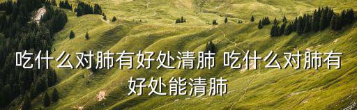 吃什么對肺有好處清肺 吃什么對肺有好處能清肺