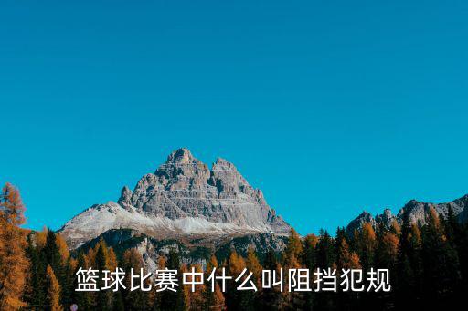 籃球比賽中什么叫阻擋犯規