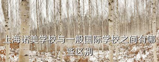 上海諾美國際學校招聘，上海諾美國際學校入學考試難嗎要求高不高
