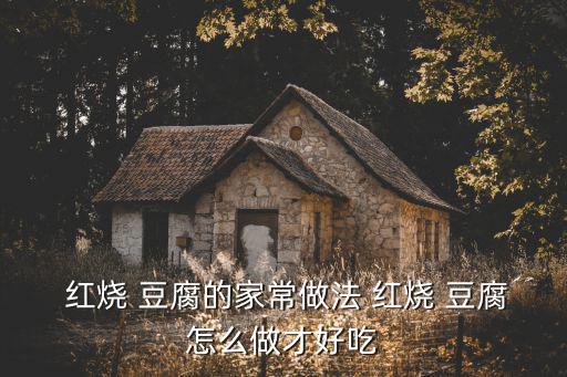  紅燒 豆腐的家常做法 紅燒 豆腐怎么做才好吃
