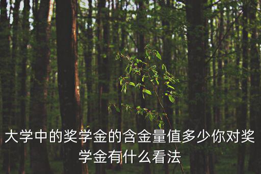 國家獎學金含金量，大學里面三好學生和國家獎學金哪個含金量高