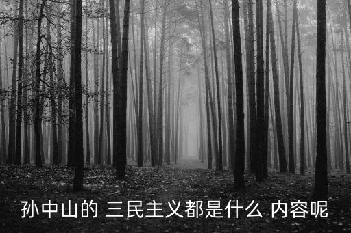 三民主義的內容,孫中山提出三民主義舊民主主義是革命綱領