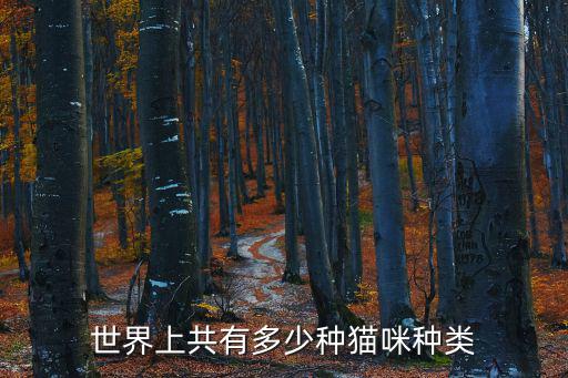 家貓圖片,被人類馴化了3500年貓叔沒找到你要的(日本貓）