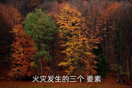  火災發生的三個 要素