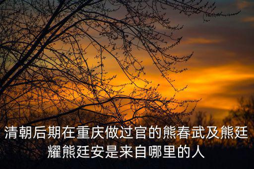 重慶市官員丁肖林，清朝后期在重慶做過官的熊春武及熊廷耀熊廷安是來自哪里的人