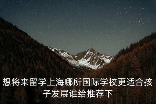想將來留學上海哪所國際學校更適合孩子發(fā)展誰給推薦下