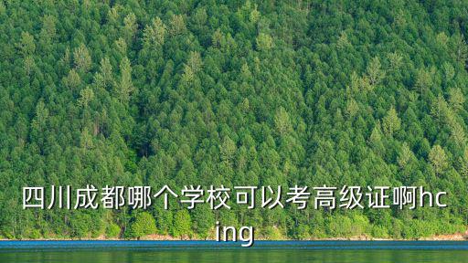 四川成都哪個(gè)學(xué)?？梢钥几呒?jí)證啊hcing