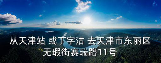 從天津站 或丁字沽 去天津市東麗區無瑕街賽瑞路11號