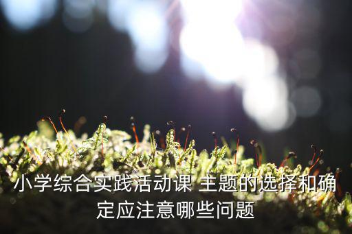 小學綜合實踐活動課 主題的選擇和確定應注意哪些問題