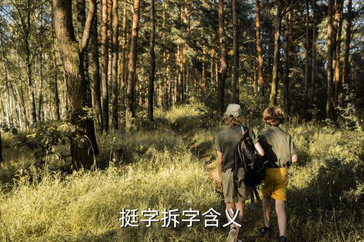 挺的意思,第五集:第一集:王若飛的精神風貌