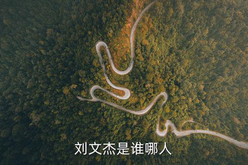 劉文杰是誰哪人