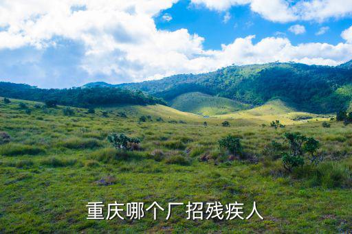 重慶市文特實(shí)業(yè)有限公司，重慶哪個(gè)廠招殘疾人