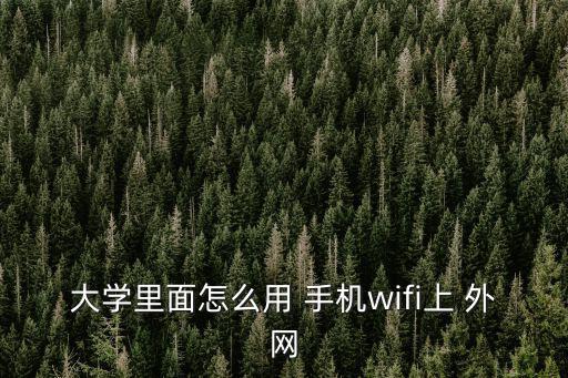大學里面怎么用 手機wifi上 外網