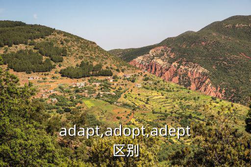adapt,adopt,adept區別