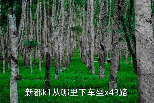 新都k1從哪里下車坐x43路