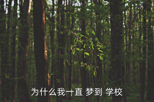 為什么我一直 夢到 學校