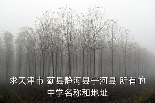 求天津市 薊縣靜?？h寧河縣 所有的中學(xué)名稱和地址