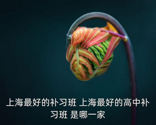 上海最好的補習班 上海最好的高中補習班 是哪一家