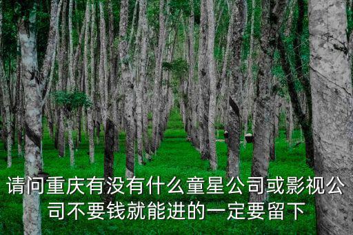重慶市聚仁賢科技傳媒公司，重慶市高新區陳家坪紳帝大廈B幢52是什么公司
