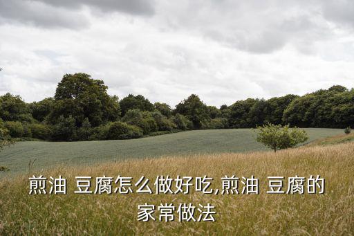 煎油 豆腐怎么做好吃,煎油 豆腐的家常做法