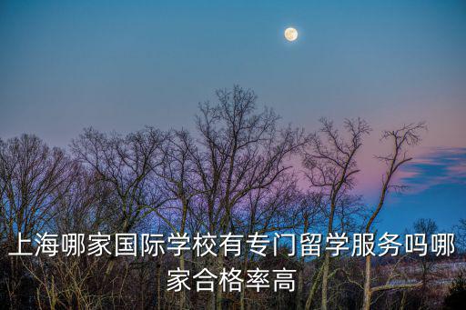 上海哪家國際學校有專門留學服務(wù)嗎哪家合格率高