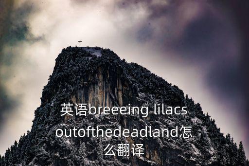 lilacs,只剩丁香花和愛的痕跡從香香門灰燼中被驅(qū)趕出來
