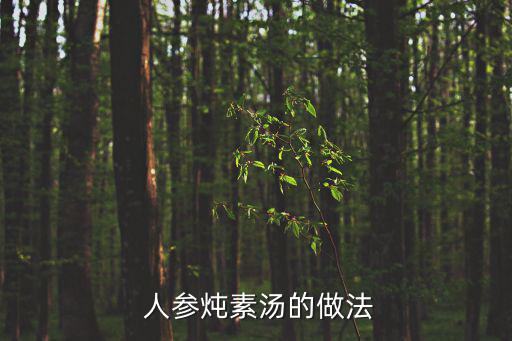 人參湯的做法,人參咸味燉雞湯!