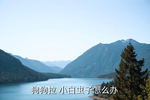 狗狗拉 小白蟲子怎么辦