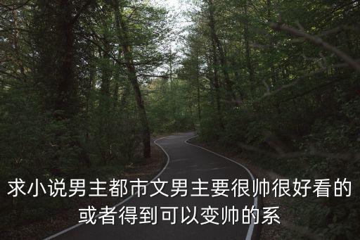 求小說男主都市文男主要很帥很好看的或者得到可以變帥的系