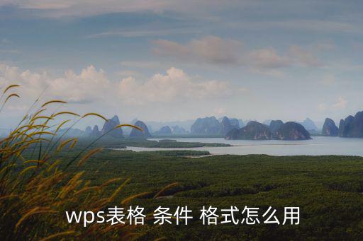 wps條件格式,用excel表創建格式規則對話框