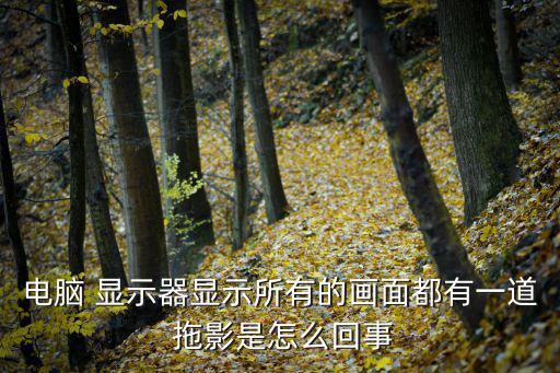 電腦 顯示器顯示所有的畫(huà)面都有一道 拖影是怎么回事