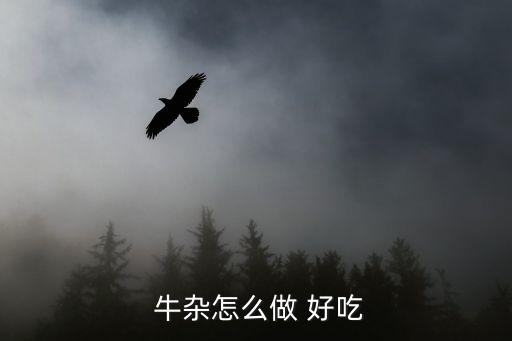  牛雜怎么做 好吃