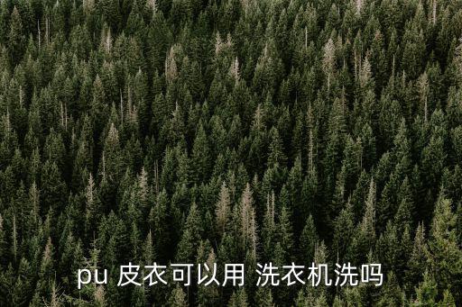 pu 皮衣可以用 洗衣機洗嗎