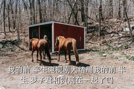 我的前 半生電視劇大結局我的前 半生 羅子君和賀涵在一起了嗎