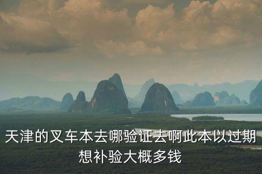 天津的叉車本去哪驗(yàn)證去啊此本以過期想補(bǔ)驗(yàn)大概多錢