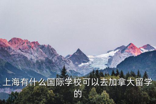 上海21所國際學校有哪些，上海有哪些日本國際高中