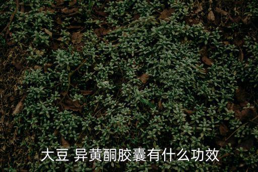 大豆異黃酮的功效,吃大豆異黃酮好處多吃會對身體造成傷害