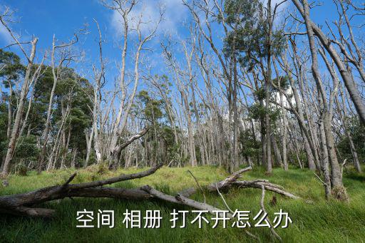 空間相冊打不開,網速太慢導致空間照片打不開?