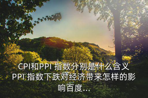 CPI和PPI 指數分別是什么含義PPI 指數下跌對經濟帶來怎樣的影響百度...