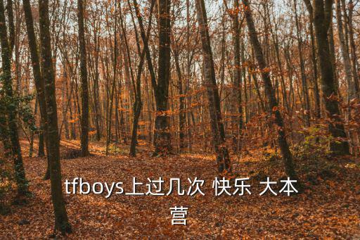 tfboys快樂大本營