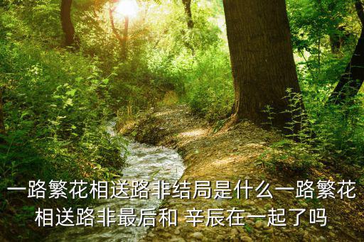一路繁花相送路非結(jié)局是什么一路繁花相送路非最后和 辛辰在一起了嗎