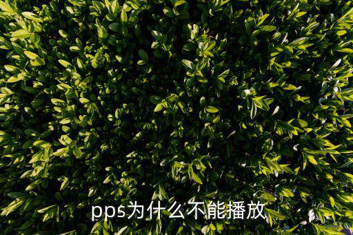  pps為什么不能播放