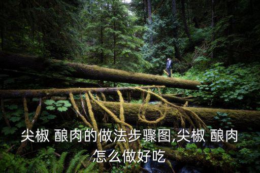 辣椒釀肉的做法,辣椒肉餡做法圖解第一步切好辣椒