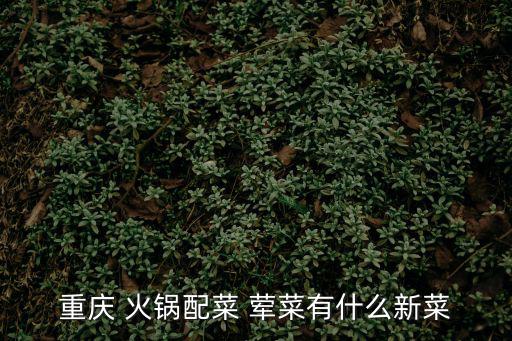 重慶 火鍋配菜 葷菜有什么新菜