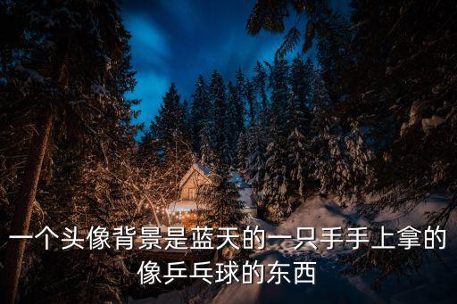 一個頭像背景是藍天的一只手手上拿的像乒乓球的東西