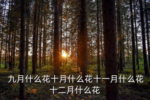  九月什么花十月什么花十一月什么花十二月什么花