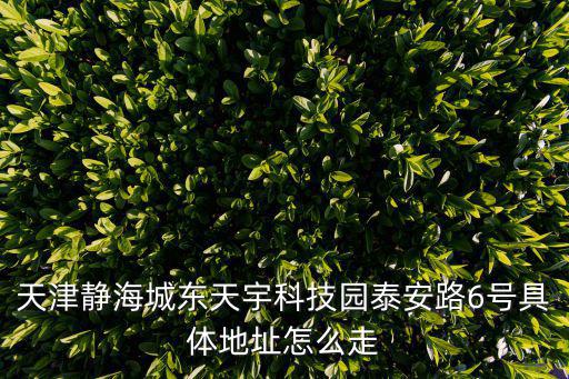 天津市靜海天宇科技園，天津靜海城東天宇科技園泰安路6號具體地址怎么走