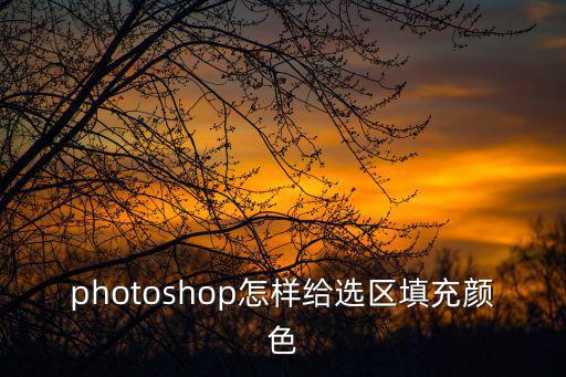 photoshop怎樣給選區(qū)填充顏色